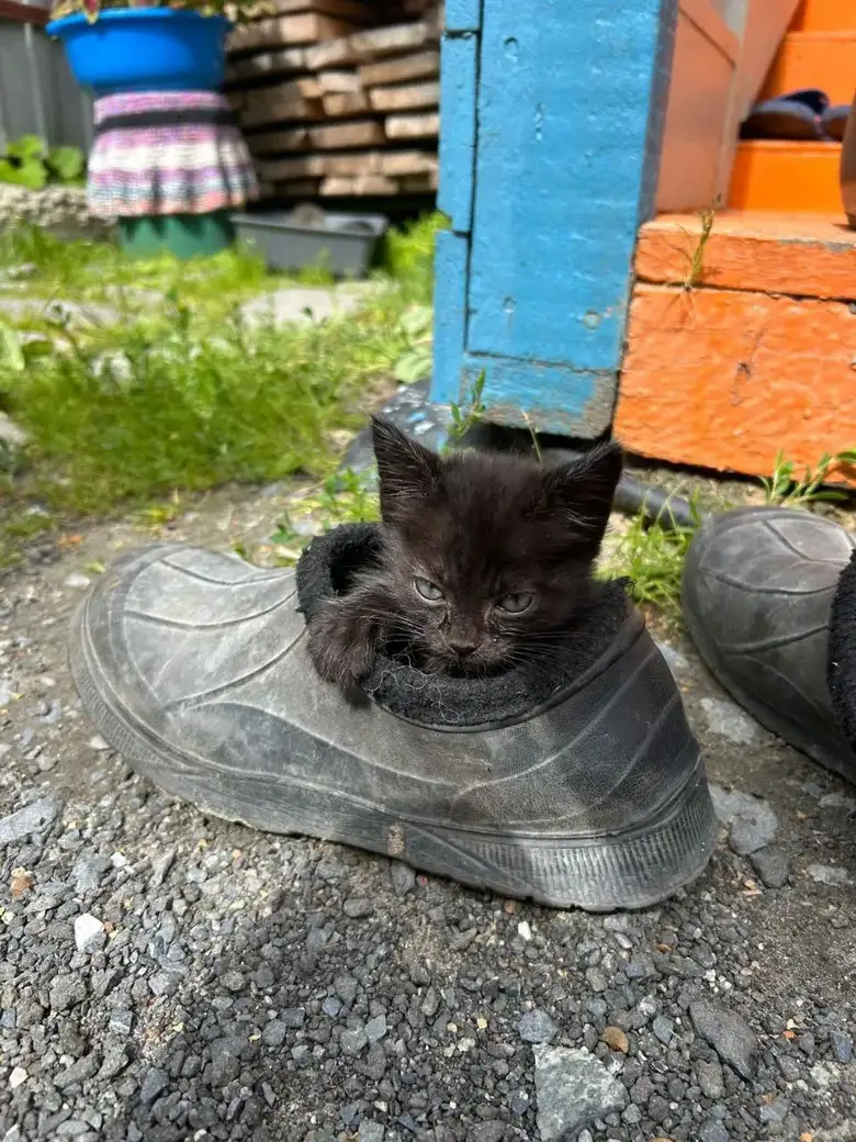 Фото: Иван Ямашев