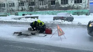 Спустя полтора месяца установили лежачих полицейских на месте, где насмерть сбили школьницу в Норильске