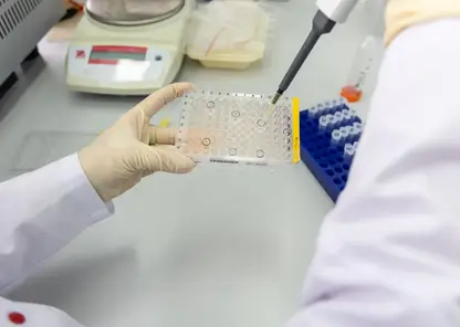 Новые вещества для борьбы с бактериями создают ученые