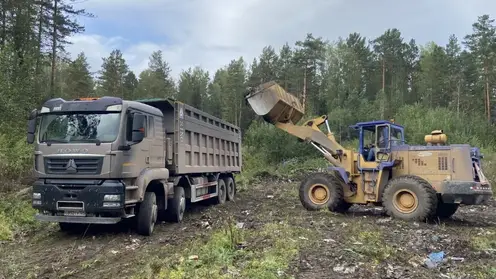 Из лесов Красноярского края вывезли почти 4 тысячи кубометров мусора