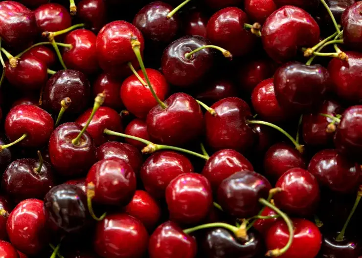 Врач предупредил о негативных последствиях переедания черешни