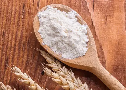 Аграриев и покупателей предупредили об угрозе мучного клеща для зерна и продуктов