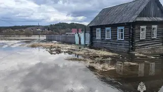 Из‑за интенсивного снеготаяния в Красноярском крае затоплены 135 участков и 12 домов
