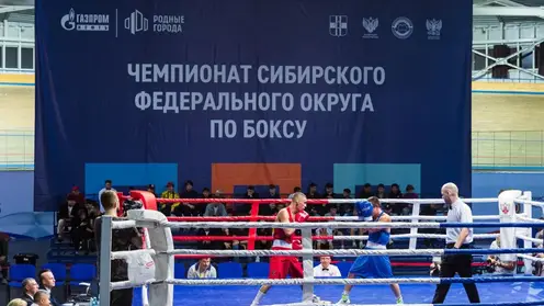 10 медалей чемпионата Сибири взяли красноярские боксеры