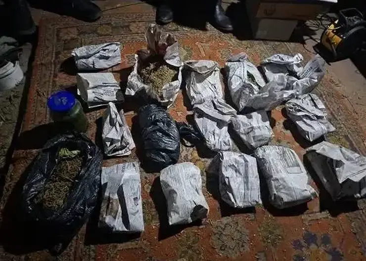 Почти полтора кило марихуаны изъяли полицейские в Минусинском округе Красноярского края