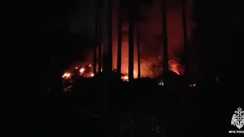 Пожар произошел в зоопарке Новосибирска: 5 животных погибли