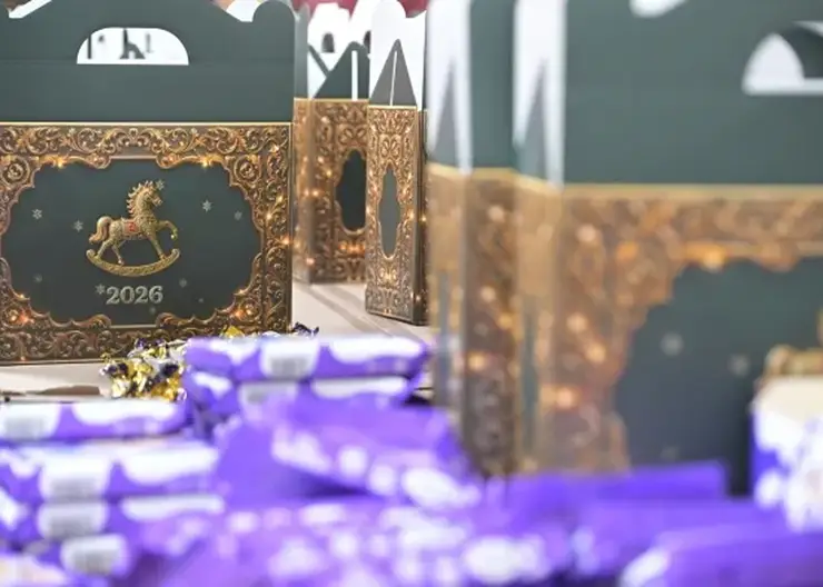 Эксперты рассказали, как выбрать полезный новогодний подарок для ребёнка