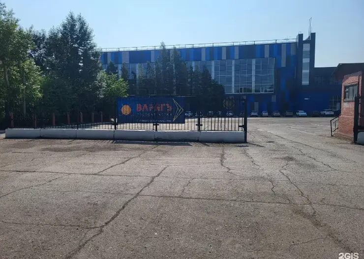 "Все матчи отменили". В Красноярске дети и взрослые пожаловались на тошноту и рвоту после хоккея