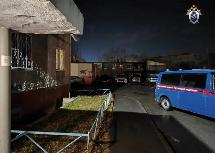 В Челябинске наркоман зверски напал с ножом на 11-летнего мальчика: мужчину хотят признать невменяемым