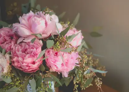 В Красноярске пройдет заключительный День пиона