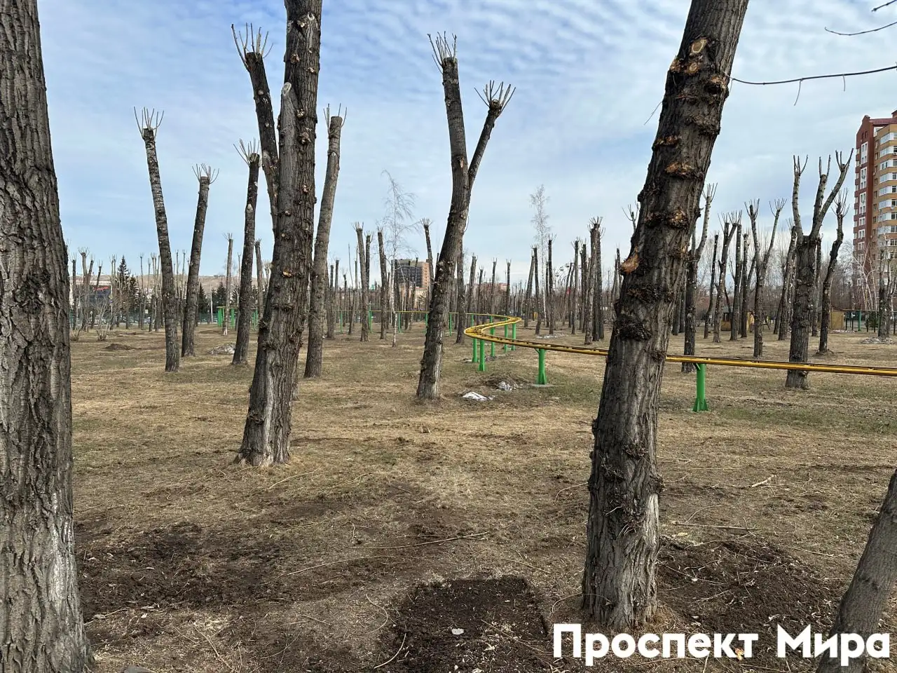 Фото: Проспект Мира