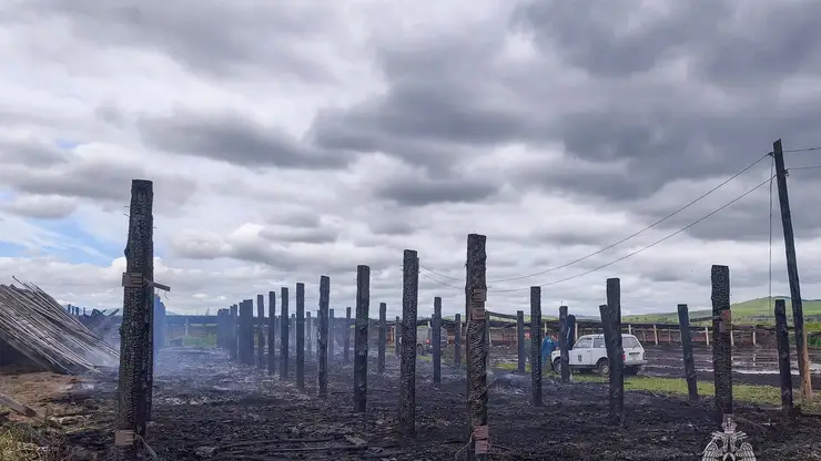 Разряд молнии поджег коровник на частной ферме в Хакасии