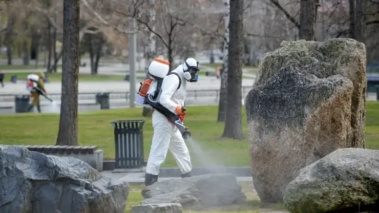 Жители Забайкалья с начала года 3217 раз обратились к медикам с жалобами на укусы клещей