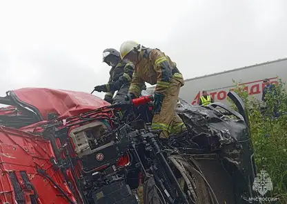 Пожары, ДТП и тушение мусора: оперативные итоги суток в Красноярском крае