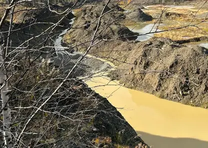 Золотодобытчиков обязали заплатить 3,9 млн рублей за загрязнение реки в Красноярском крае