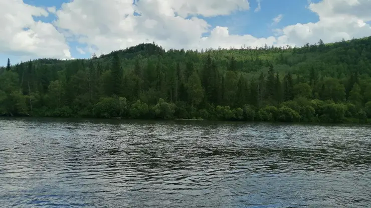 на Красноярском водохранилище пройдет заплыв ко Дню российского флага 