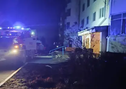 В Красноярском крае в пожаре погибла 16-летняя девушка