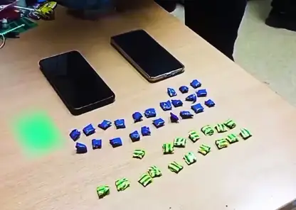 Омская закладчица получила 9 лет колонии за распространение героина в Красноярском крае