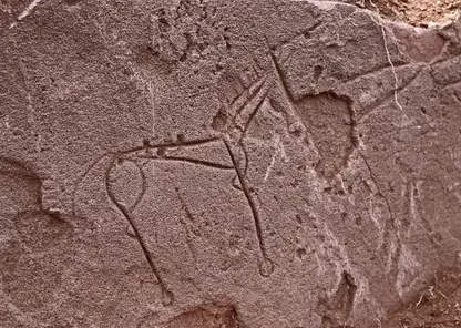 Древние рисунки эпохи раннего железного века нашли в Хакасии