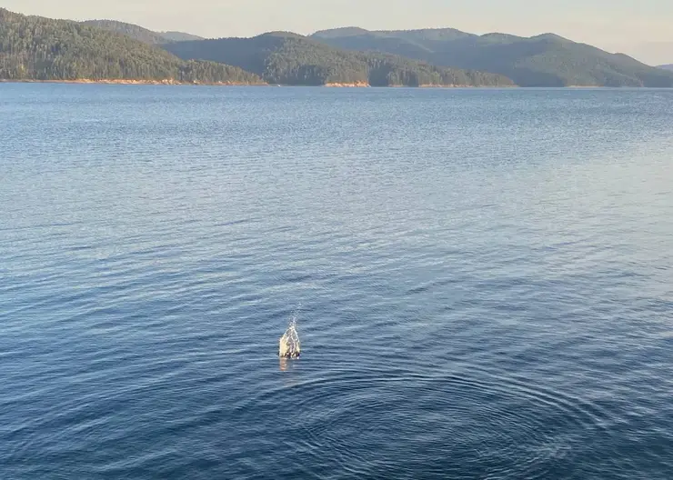 Более 200 рек и озер Красноярского края очистили от мусора