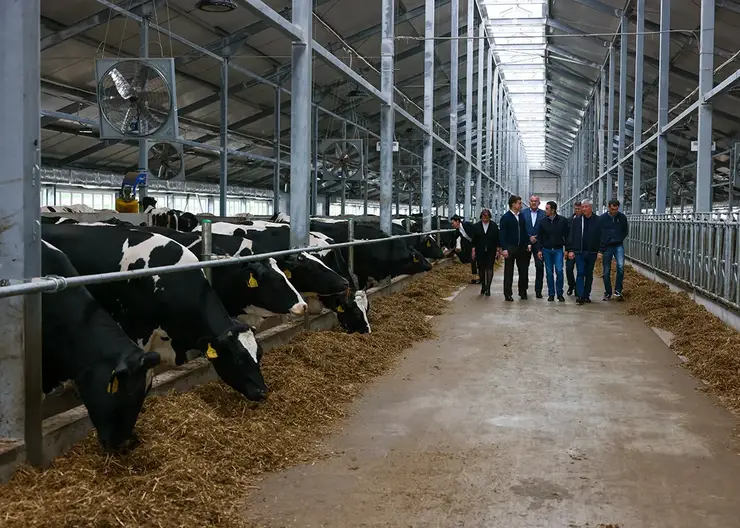 Руководитель Красноярского края Михаил Котюков проинспектировал модернизацию сельхозорганизации в Курагинском районе