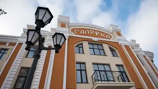 Актёры Дмитрий и Екатерина Цепкины отыграли прощальный спектакль в «Галёрке»