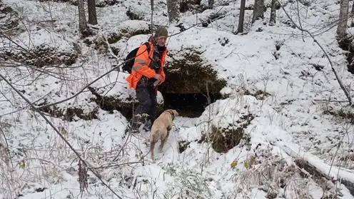 Разгадка гудков. У пропавшего в красноярской тайге Усольцева было два телефона
