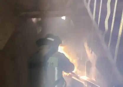 В Омске из пожара в жилом доме спасли 27 человек, 3 из них — дети