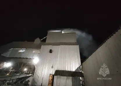 12 пожаров потушили в Красноярском крае за сутки