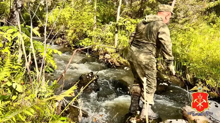 Кузбасский подросток, заблудившийся в тайге, найден в соседнем регионе спустя двое суток (видео)