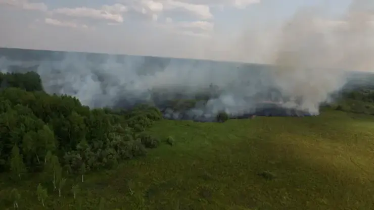 Большая часть лесных пожаров в Томской области произошли по вине людей