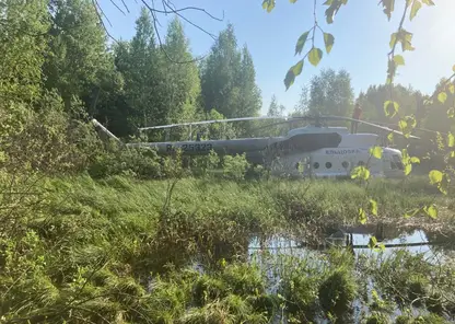 Вертолет Ми-8 аварийно приземлился в Томской области