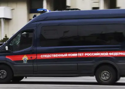 В Новосибирской области на депутата заксобрания возбудили уголовное дело