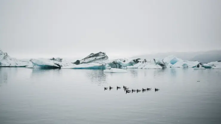 Буклет с автографом Фёдора Конюхова продают в Красноярске за миллион рублей