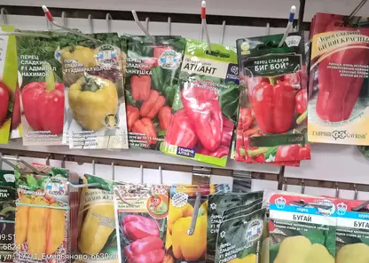 В Красноярском крае Россельхознадзор обнаружил вымышленную «Марфушечку-душечку»