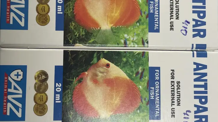 В Красноярском зоомагазине выявили продажу ветпрепаратов без лицензии