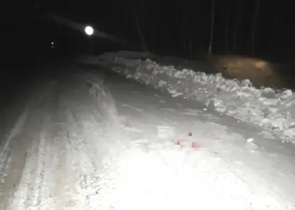 Жителя Красноярского края подозревают в незаконной охоте на двух косуль