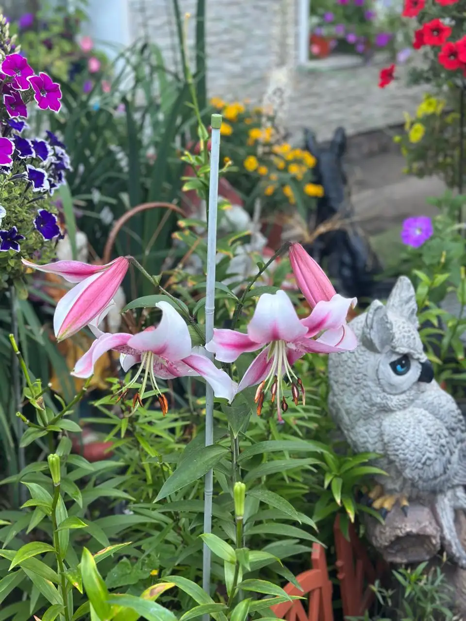 Фото: Мэрия Красноярска / Telegram