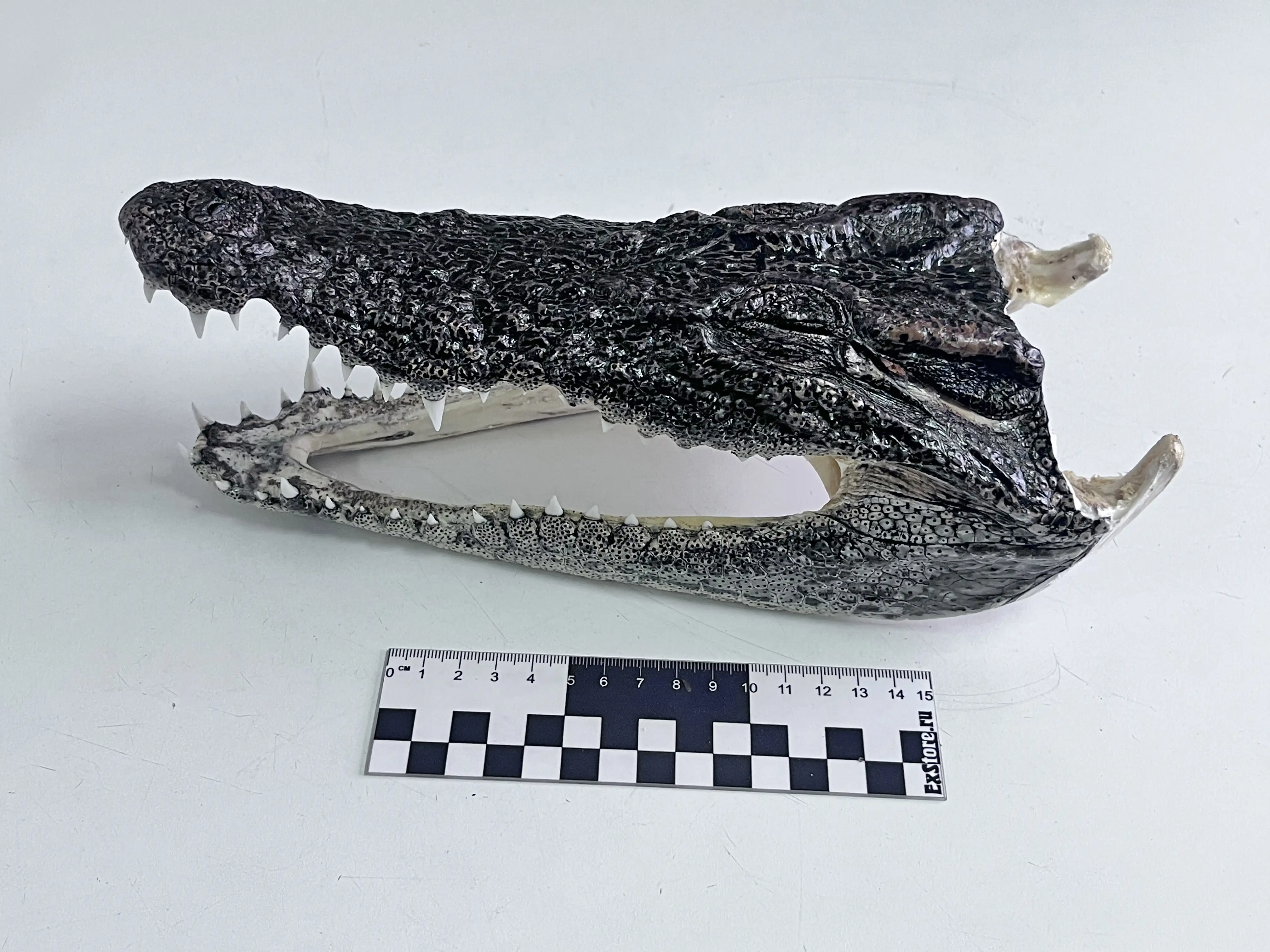 Фото: stu.customs.gov.ru