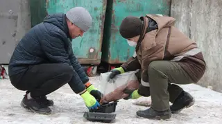 В Красноярске прошла масштабная дератизация: обработаны тысячи объектов