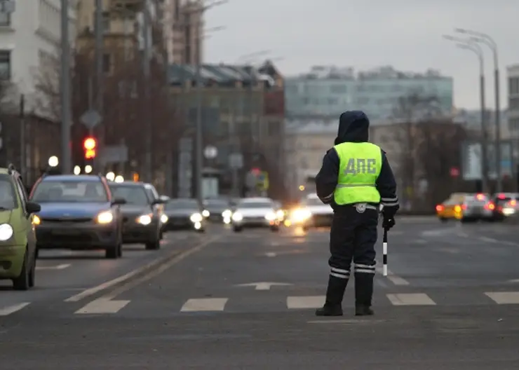 Едва не задавившего собаку с хозяйкой шофера из Иркутской области лишат прав