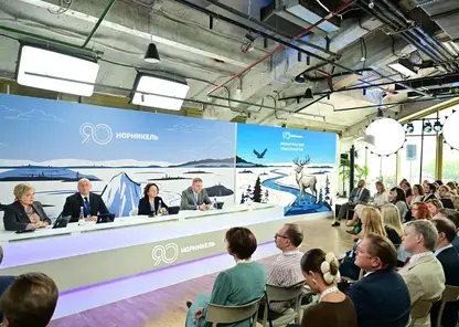 «Норникель» направил 374 миллиардов рублей на устойчивое развитие в 2024 году