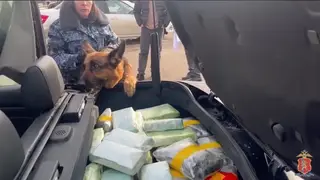 25 килограммов наркотиков пыталась провезти жительница Уфы в Красноярский край