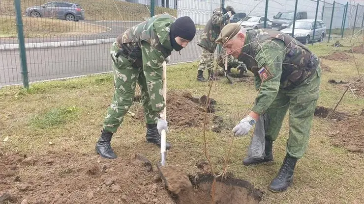 30 новых деревьев и фигурка металлического зайца появились в Красноярске на Копылова