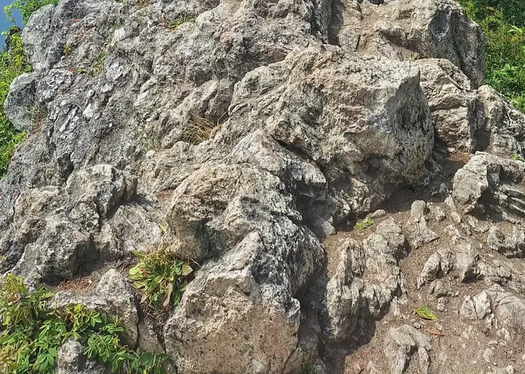 Тысячи человек возьмутся за руки в Забайкалье ради рекорда России