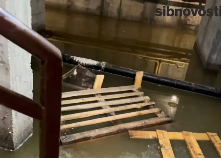 «Дышать невозможно»: в Красноярске многоэтажку на ул. Караульной топит фекалиями