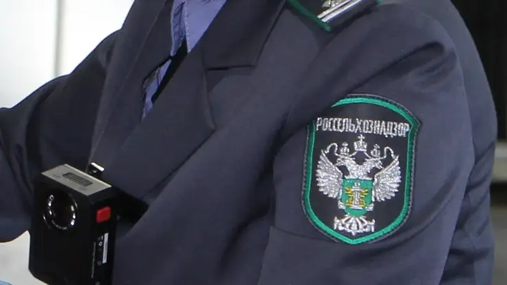 В Красноярске предприниматель произвел рыбу из ничего