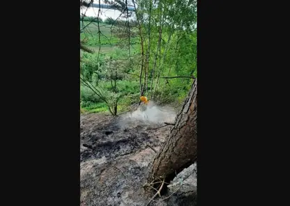 В Красноярском крае в Енисейском районе произошёл торфяной пожар