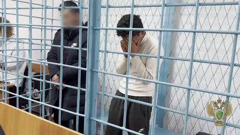 В Забайкалье вынесен приговор группе иностранцев по делу о преступлении против несовершеннолетней