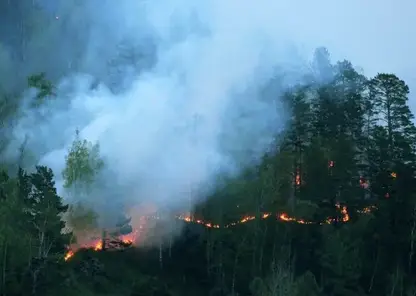 Запрет на посещение лесов ввели в Бурятии из-за угрозы пожаров